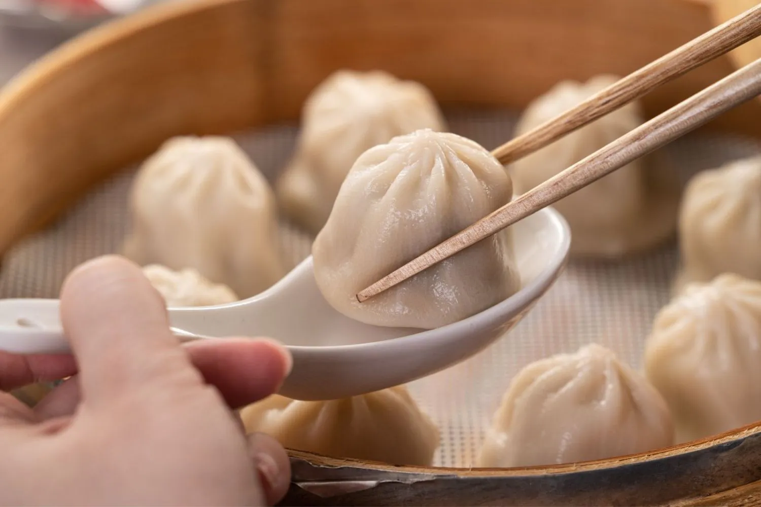 Hand-picked soup dumpling lifted from bamboo steamer at Fusan Dumpling House & Sushi, an Asian Fusion Restaurant in New York